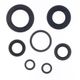 Engine Oil Seals Kit