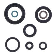 Engine Oil Seals Kit