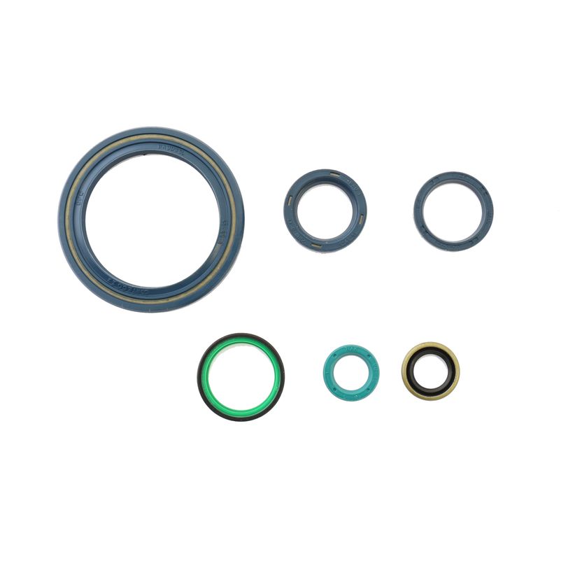 Engine Oil Seals Kit