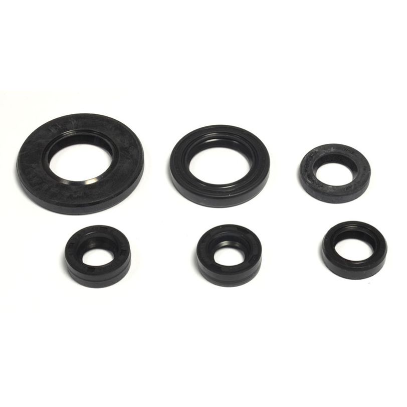 Engine Oil Seals Kit