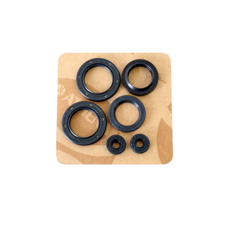 Engine Oil Seals Kit