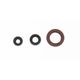 Engine Oil Seals Kit