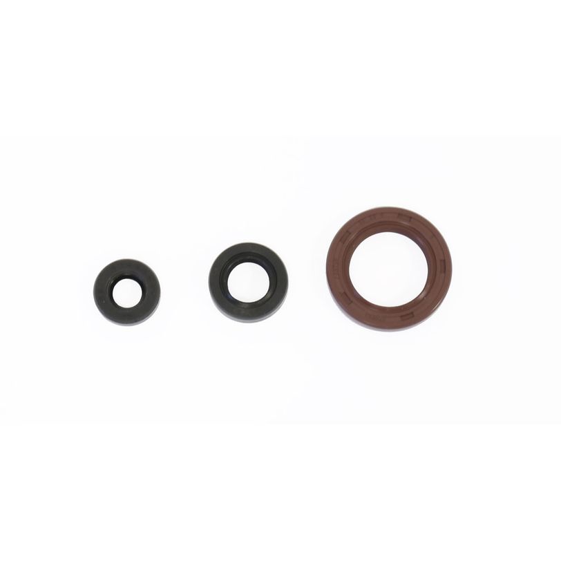 Engine Oil Seals Kit
