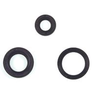 Engine Oil Seals Kit