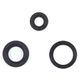 Engine Oil Seals Kit