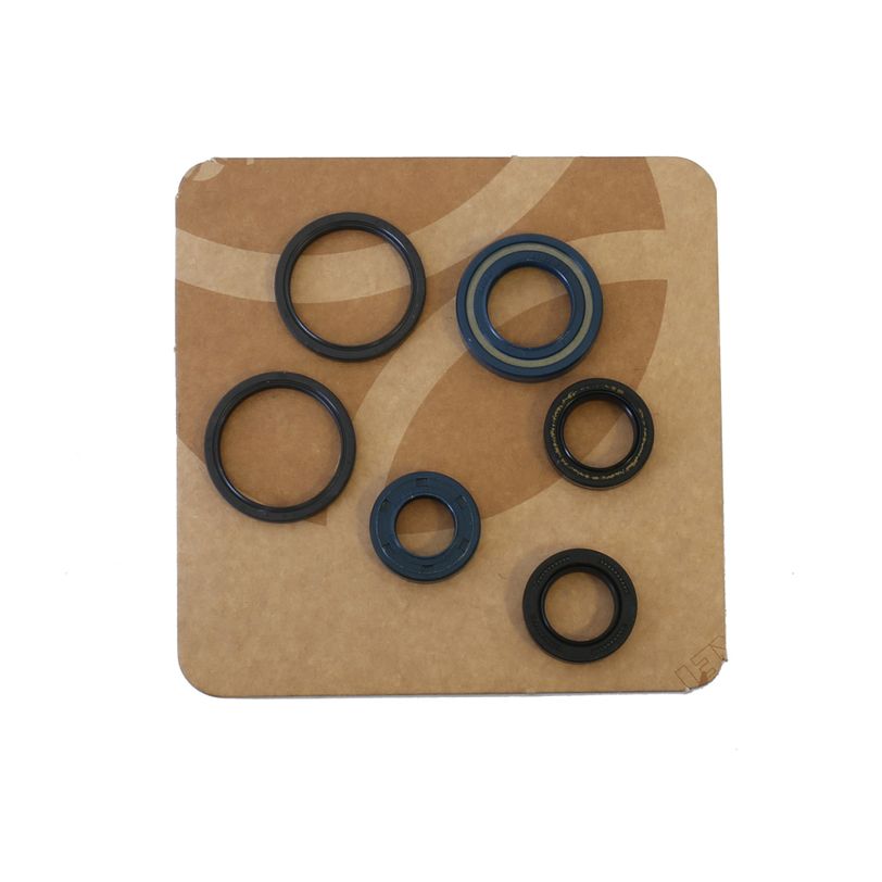 Engine Oil Seals Kit