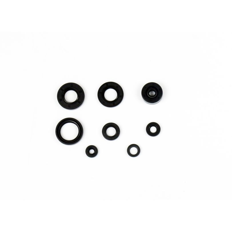 Engine Oil Seals Kit