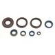 Engine Oil Seals Kit
