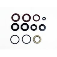 Engine Oil Seals Kit