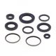 Engine Oil Seals Kit