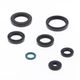 Engine Oil Seals Kit