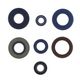 Engine Oil Seals Kit