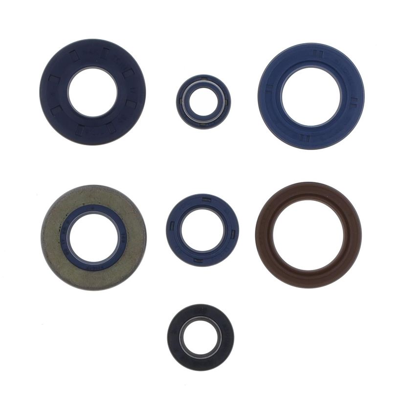 Engine Oil Seals Kit