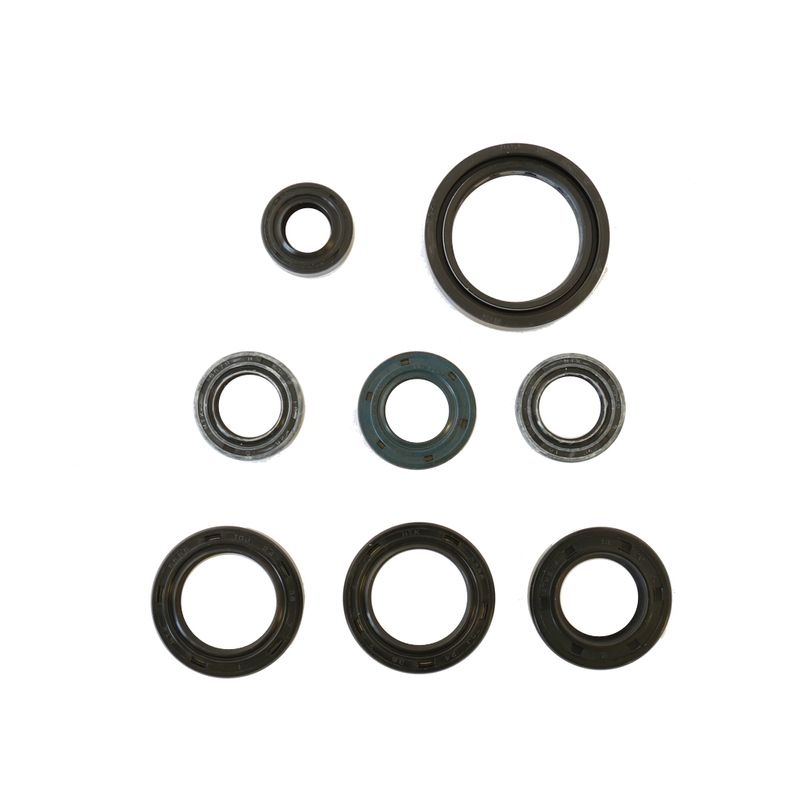 Engine Oil Seals Kit