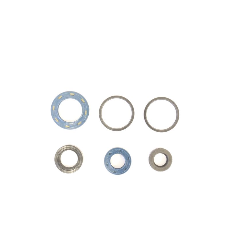 Engine Oil Seals Kit