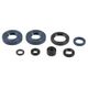 Engine Oil Seals Kit