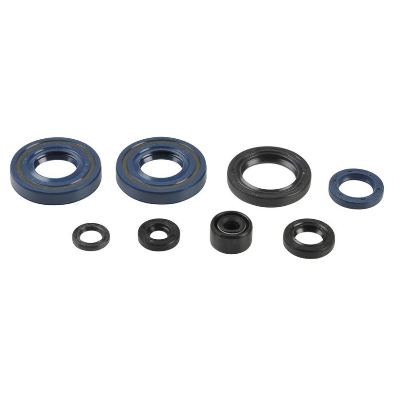 Engine Oil Seals Kit