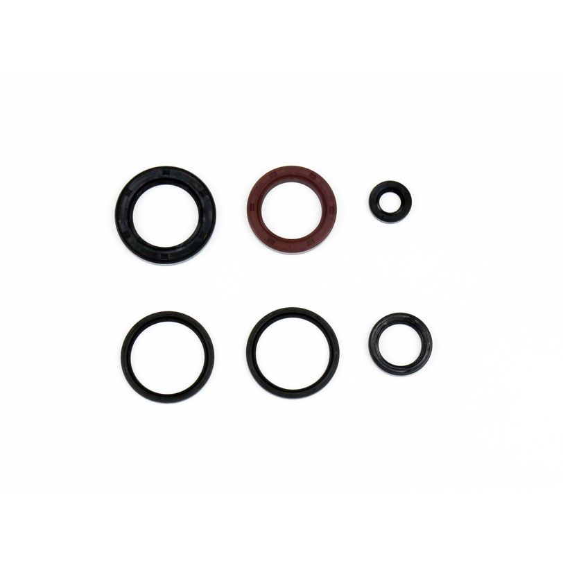 Engine Oil Seals Kit
