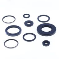 Engine Oil Seals Kit