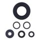 Engine Oil Seals Kit