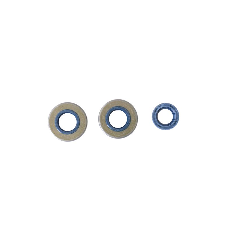 Engine Oil Seals Kit