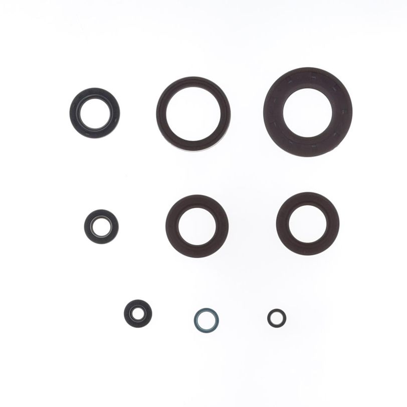Engine Oil Seals Kit