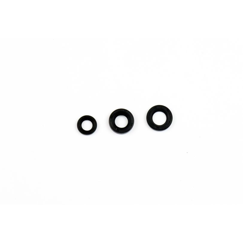 Engine Oil Seals Kit