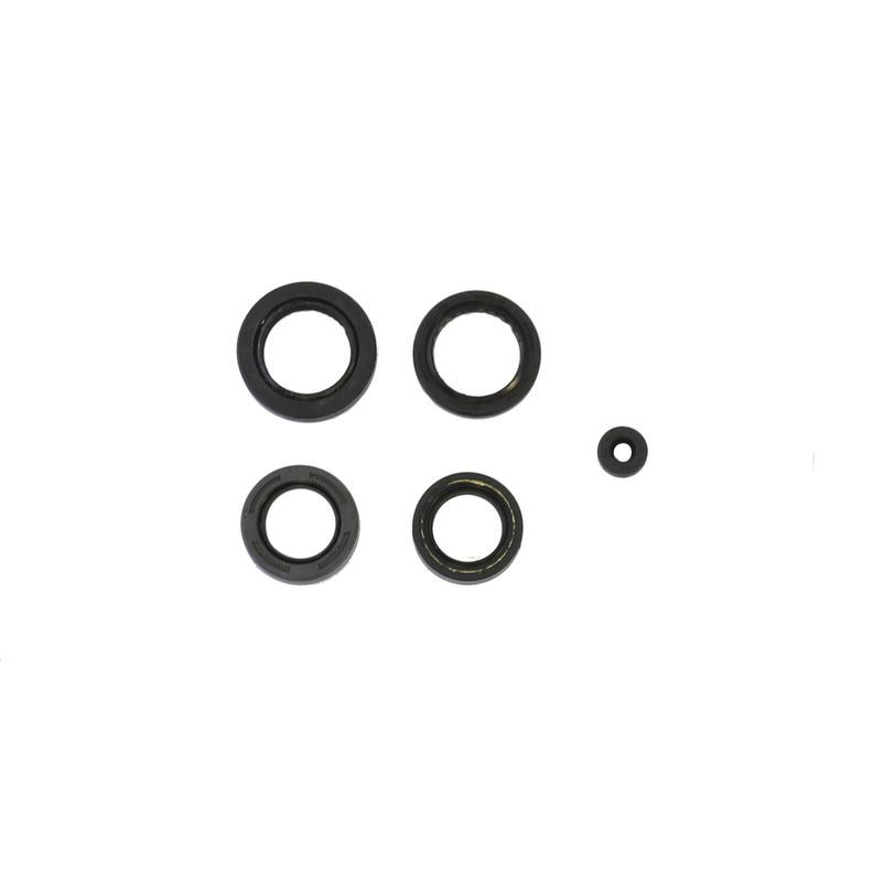 Engine Oil Seals Kit