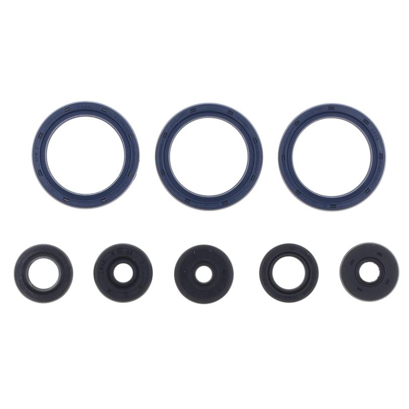 Engine Oil Seals Kit
