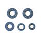 Engine Oil Seals Kit