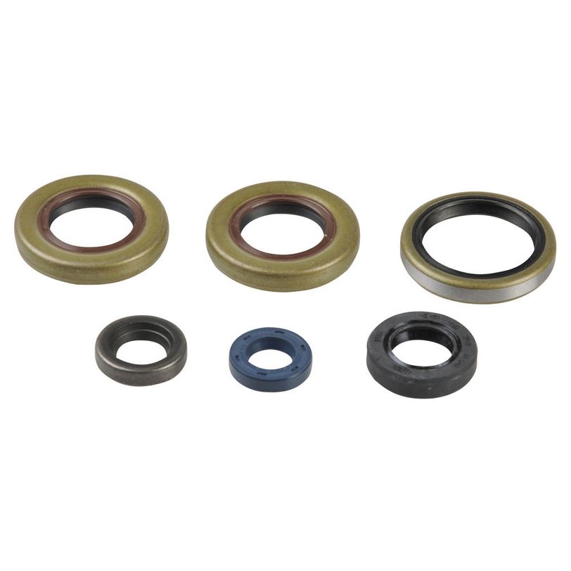 Engine Oil Seals Kit