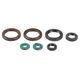 Engine Oil Seals Kit