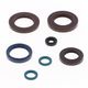 Engine Oil Seals Kit