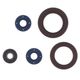 Engine Oil Seals Kit