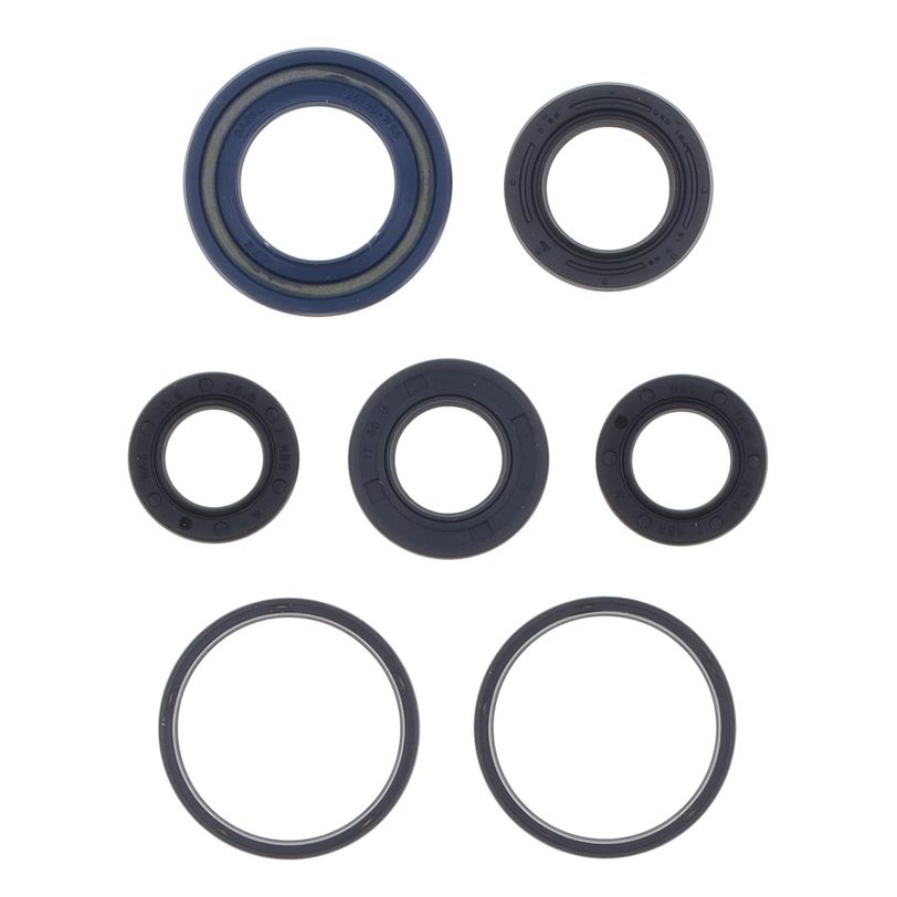 Engine Oil Seals Kit