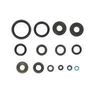 Engine Oil Seals Kit