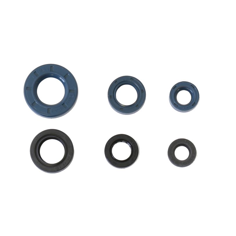 Engine Oil Seals Kit