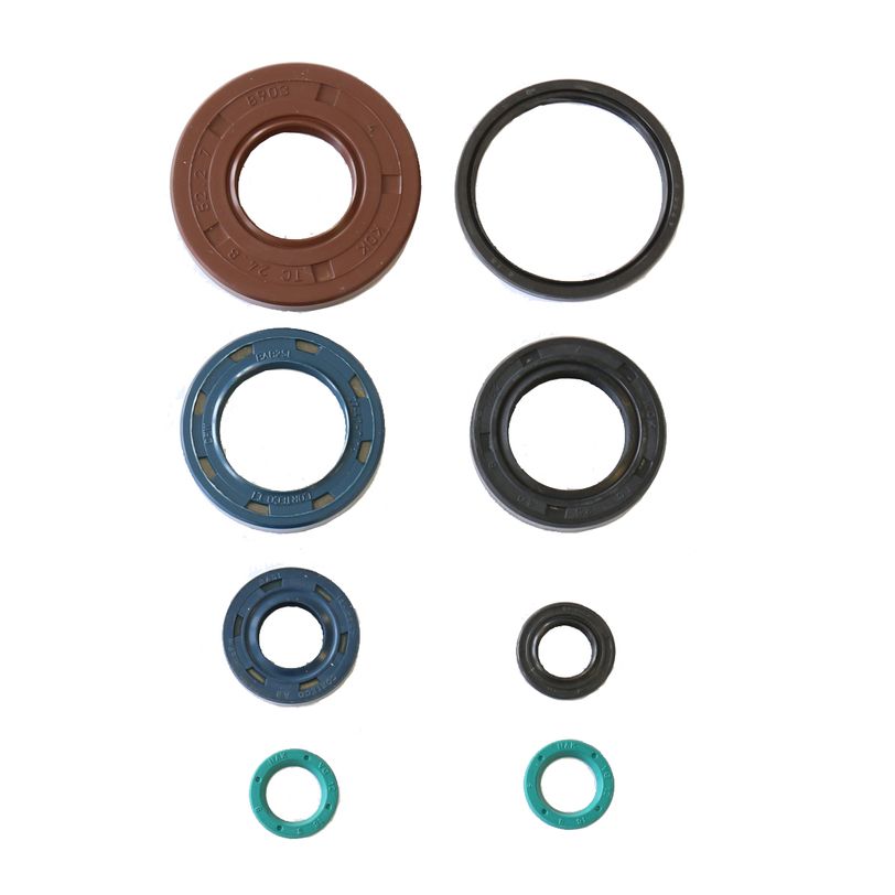 Engine Oil Seals Kit