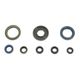 Engine Oil Seals Kit
