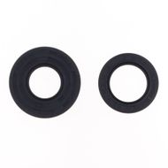 Engine Oil Seals Kit
