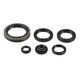 Engine Oil Seals Kit