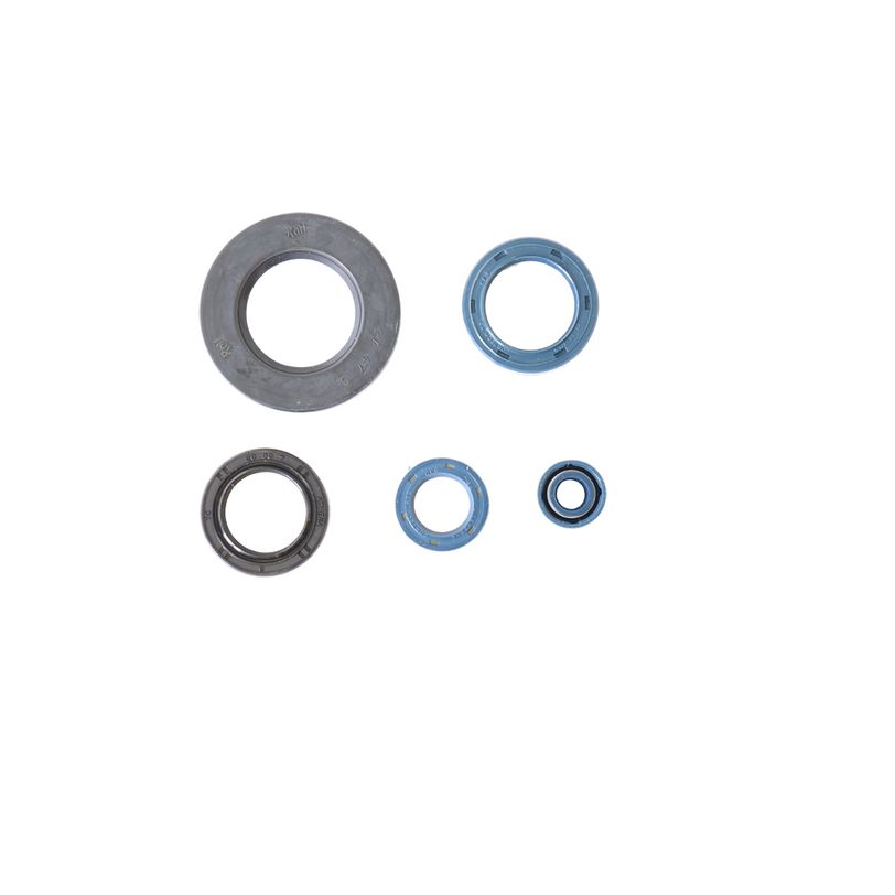 Engine Oil Seals Kit