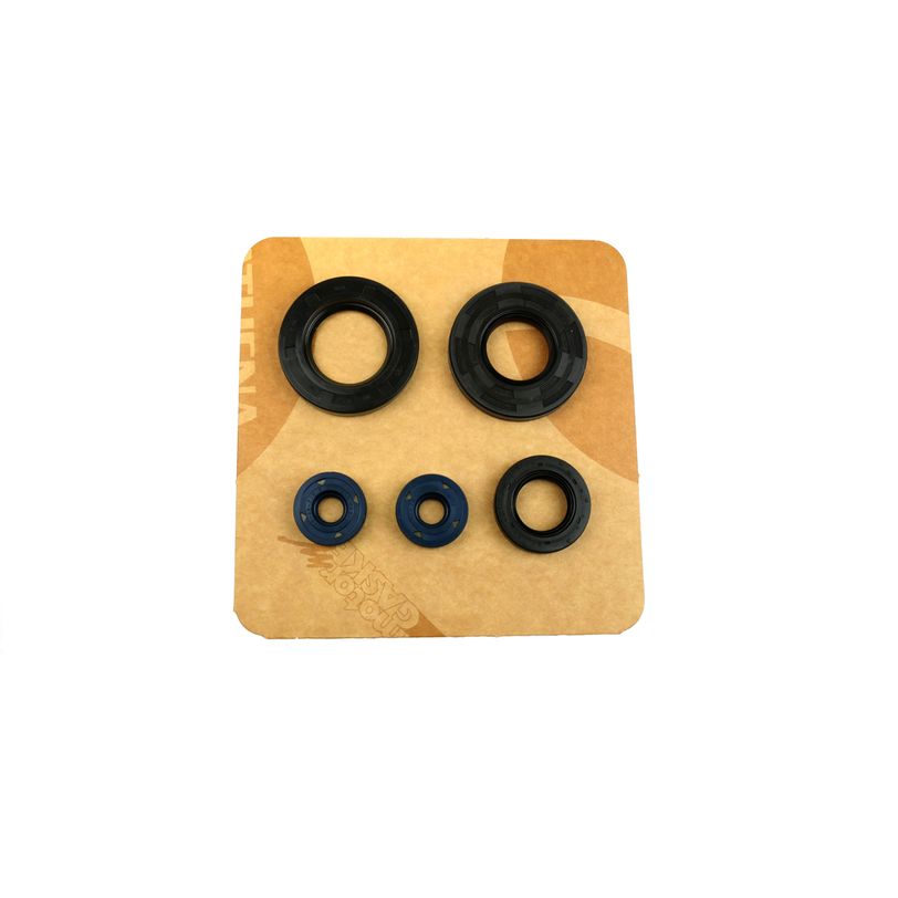 Engine Oil Seals Kit