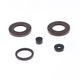 Engine Oil Seals Kit