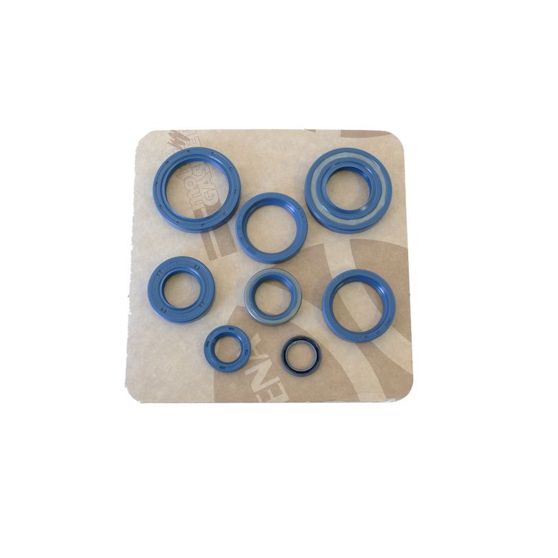 Engine Oil Seals Kit