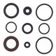 Engine Oil Seals Kit