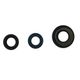 Engine Oil Seals Kit