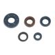 Engine Oil Seals Kit