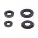 Engine Oil Seals Kit