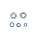 Engine Oil Seals Kit
